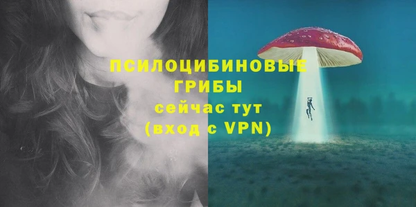 прущие крисы Баксан