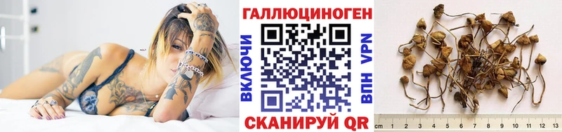 OMG сайт  Новомосковск  Псилоцибиновые грибы Magic Shrooms  купить наркотик 