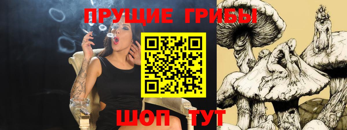 Псилоцибиновые грибы мицелий Новомосковск