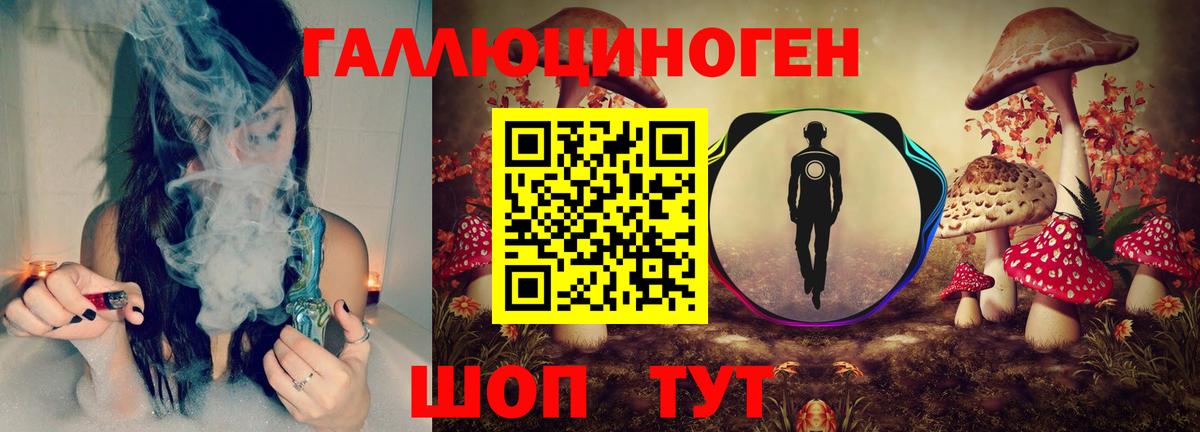 Псилоцибиновые грибы Psilocybe  где можно купить   Новомосковск  Псилоцибиновые грибы Magic Shrooms  Вход с VPN 