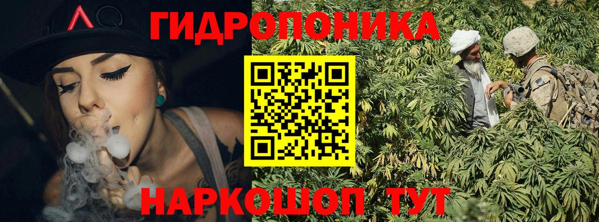 Каннабис Bruce Banner Новомосковск